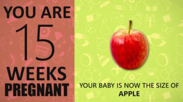 15 Weeks Pregnant Guide