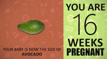 16 Weeks Pregnant Guide