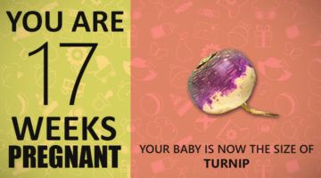 17 Weeks Pregnant Guide