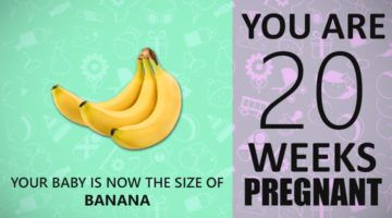 20 Weeks Pregnant Guide