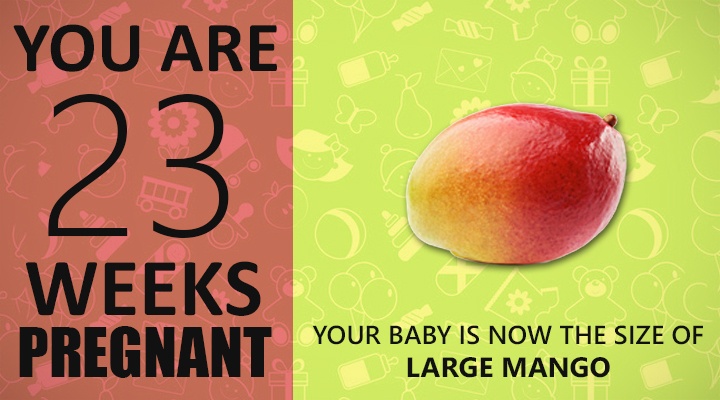23 Weeks Pregnant Guide 