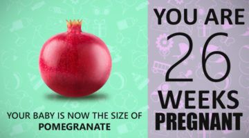 26 Weeks Pregnant Guide