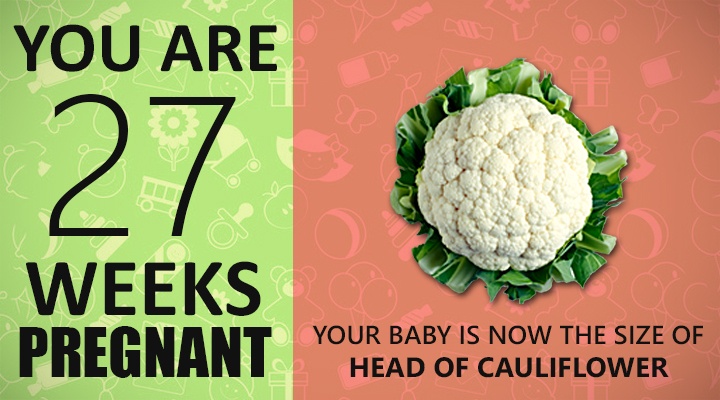 27 Weeks Pregnant Guide, baby looks like in 27 weeks of pregnancy, baby size in 27 weeks of pregnancy