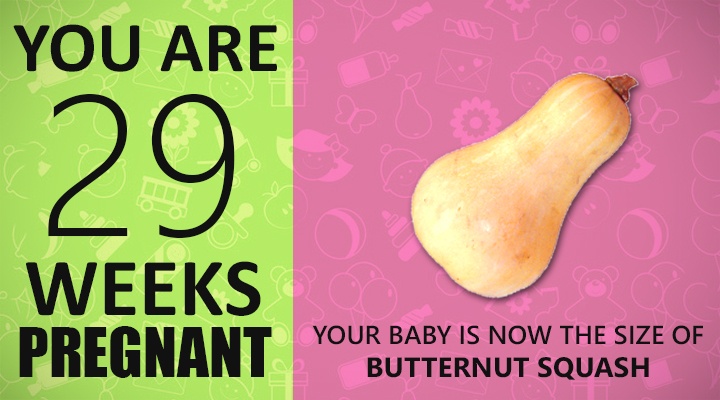 29 Weeks Pregnant Guide, baby size is 29 weeks, baby looks like in 29 week