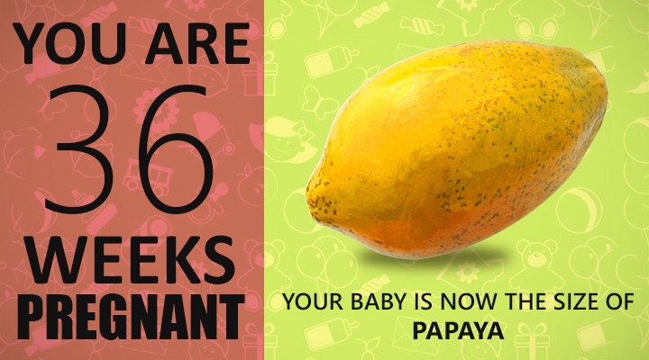 36 Weeks Pregnant Guide, Baby's size in 36 week, how baby looks like in 36 weeks of pregnancy