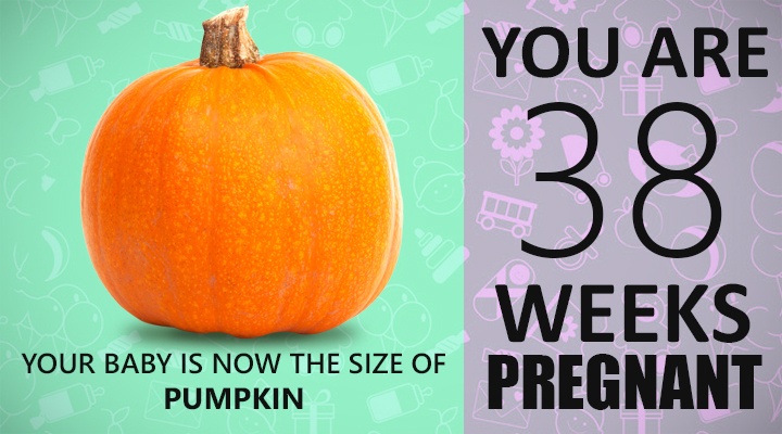 38 Weeks Pregnant Guide, Baby's size in 38 weeks of pregnancy, How baby looks like in 38 weeks of pregnancy