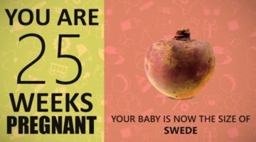 25 Weeks Pregnant Guide