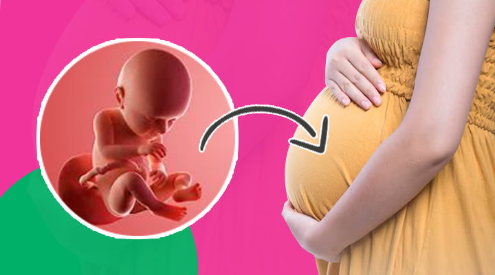 39 Week Pregnant guide, Baby size in 39 weeks pregnancy, How baby looks like in 39 weeks pregnancy