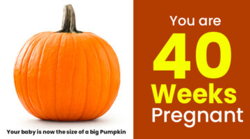 40 Week Pregnant guide, Baby size in 40 weeks pregnancy, How baby looks like in 40 weeks pregnancy
